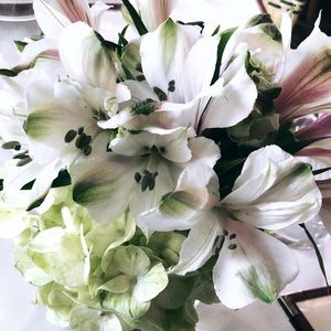 Meet your Posher, Nida